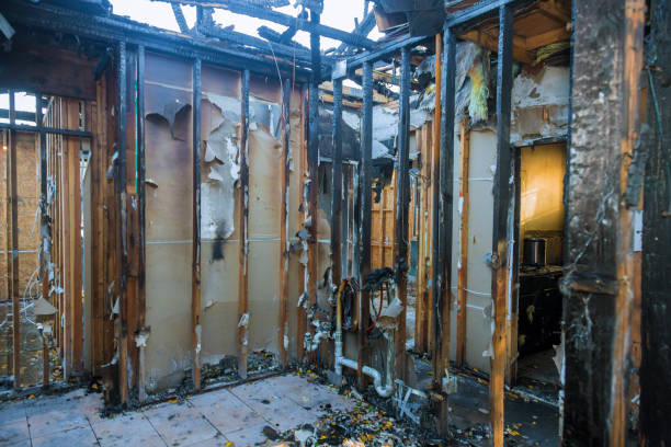 Professional Fire Damage Removal technician working in Robinwood, MD
